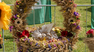 DSC00069.jpg