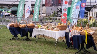 DSC00173_1.jpg