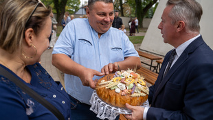 DSC00567.jpg