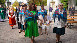 DSC01263.jpg