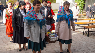 DSC01264.jpg