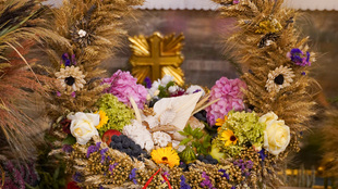 DSC01272.jpg