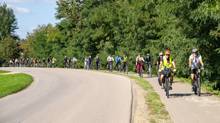 DSC01363.jpg