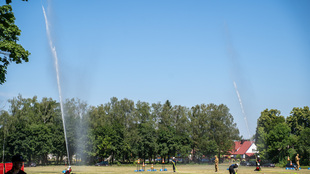 DSC09008.jpg
