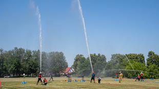 DSC09138.jpg