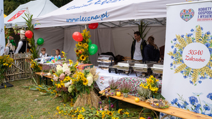 DSC09946.jpg
