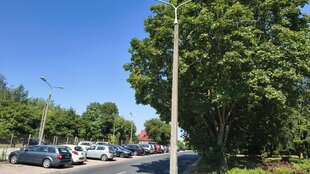 IMG_20260717_103611356_HDR.jpg