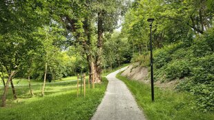 IMG_20260723_091137756_HDR.jpg