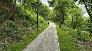 IMG_20260723_091312818_HDR.jpg