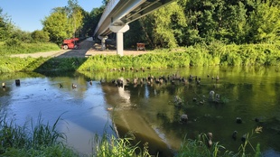 IMG_20260729_073203424_HDR.jpg
