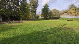 IMG_20261011_134332.jpg