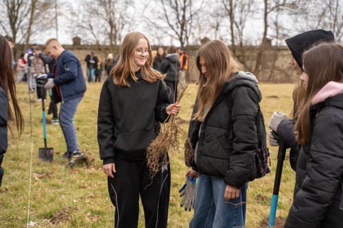 1500 nowych sadzonek drzew w Gminie Łęczna