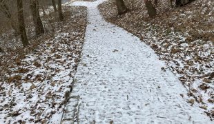 Współpraca korzystna dla klimatu – rozwój zielonej infrastruktury w Łęcznej i w Kowlu