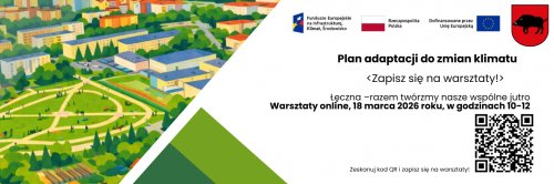 Warsztaty diagnostyczne 