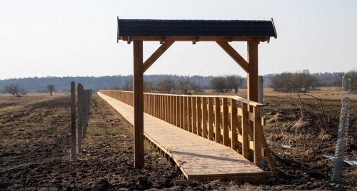 Zielona Sieć zaprasza