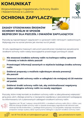 Ochrona zapylaczy – zasady bezpiecznego stosowania środków ochrony roślin