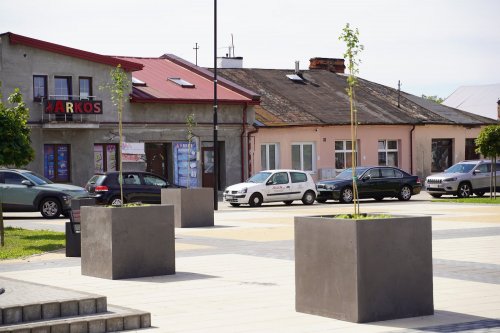 Nowe donice z drzewkami